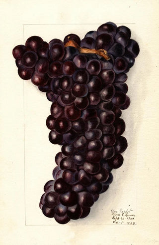 Vitis Gros Painting - Elsie E. Lower — artwork view