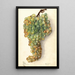 Vitis Malaga - Elsie E. Lower — framed artwork on a wall