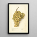 Vitis Meyers No - Elsie E. Lower — framed artwork on a wall