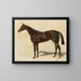 A dark bay thoroughbred mare - Emil Adam — framed artwork on a wall