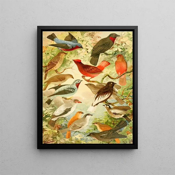 Anamb - Emil August Göldi — framed artwork on a wall