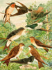 Hirondelles Painting - Emil August Göldi — artwork view