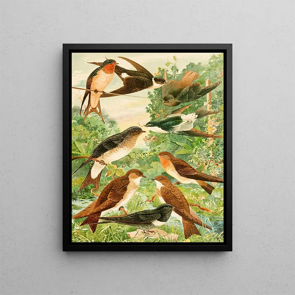 Hirondelles Painting - Emil August Göldi — framed artwork on a wall