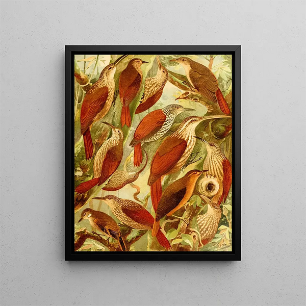Scratch - Emil August Göldi — framed artwork on a wall