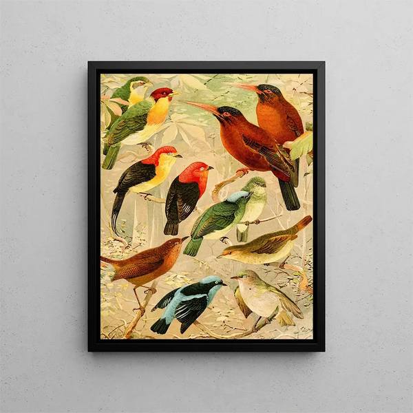 Arirambas da matta Virgin Uirpur Diverse Sahy - Emil August Göldi — framed artwork on a wall