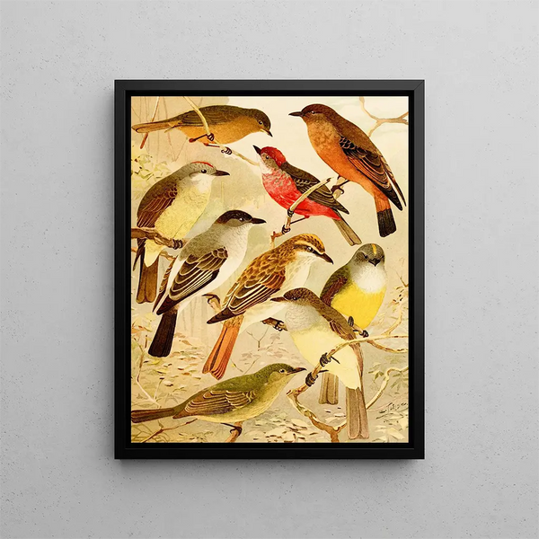 Bem-te-vis Painting - Emil August Göldi — framed artwork on a wall