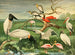 Storks with spoon bills - Emil August Göldi — artwork view