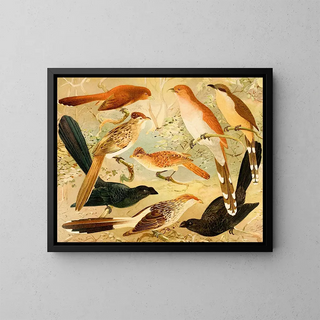 Chinco Saci An Quirir - Emil August Göldi — framed artwork on a wall