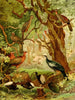Cujubi Jacs Aracus Jacamins - Emil August Göldi — artwork view