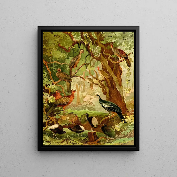 Cujubi Jacs Aracus Jacamins - Emil August Göldi — framed artwork on a wall