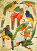 Hud Surucus Arirambas de matta Virgin - Emil August Göldi — artwork view