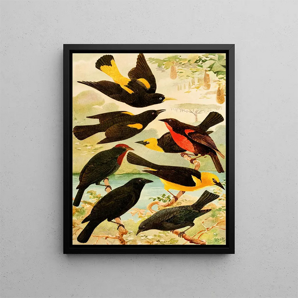 Japiim Nightingale Police English Irtau Iruna Virabosta - Emil August Göldi — framed artwork on a wall