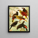 Japus Irana Gouache - Emil August Göldi — framed artwork on a wall