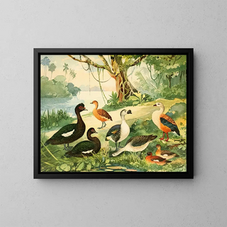 Canards et oies - Emil August Göldi — framed artwork on a wall