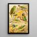 Parrots Tanajuba - Emil August Göldi — framed artwork on a wall