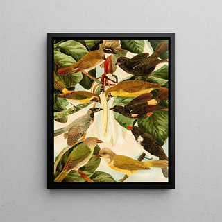 Pepper - Emil August Göldi — framed artwork on a wall