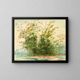 Scene of a heron nest with a scarlet ibis on the Atlantic coast of Maraj Island - Emil August Göldi — framed artwork on a wall