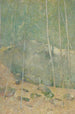 In the Maine Woods - Emil Carlsen — artwork view