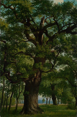 Emil Lugo - Eiche.webp