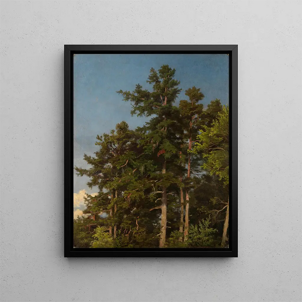 Cimes de chênes - Emil Lugo — framed artwork on a wall