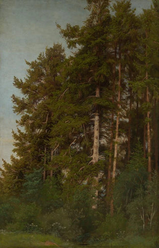 Emil Lugo - Tannen und Unterholz.webp