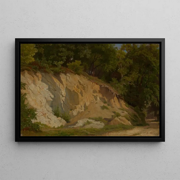 Path in the forest with rocky wall - Emil Lugo — framed artwork on a wall
