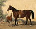 a brown horse with a foal - Emil Volkers — artwork view