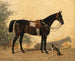 A black horse with a dog - Emil Volkers — artwork view