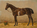a brown horse with a saddle in a stable - Emil Volkers — artwork view
