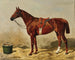 Thoroughbred English Horse - Emil Volkers — artwork view