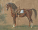 Sealed Horse Painting - Emil Volkers — artwork view