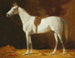 Horse saddle in the stable - Emil Volkers — artwork view