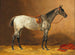 Horse saddle - Emil Volkers — artwork view