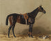 Horse riding painting - Emil Volkers — artwork view