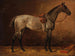 Horse gray in the stable - Emil Volkers — artwork view