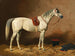 Gray Painting in the Stable - Emil Volkers — artwork view