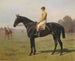 Horse with jockey - Emil Volkers — artwork view