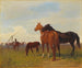 Horses on the Puszta - Emil Volkers — artwork view