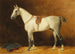 Gris sellé dans une écurie - Emil Volkers — artwork view