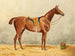 Horse sealed in the stable - Emil Volkers — artwork view