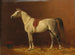 Horse in Stable - Emil Volkers — artwork view