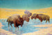 Scene of Buffaloes - Emil W. Lenders — artwork view