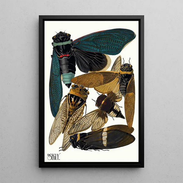 Insects Pl01 - Émile-Allain Séguy — framed artwork on a wall