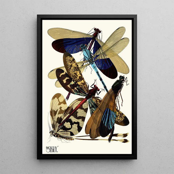 Insectes Pl02 - Émile-Allain Séguy — framed artwork on a wall