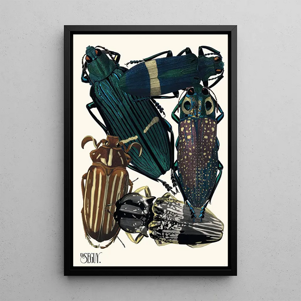Insectes Pl05 - Émile-Allain Séguy — framed artwork on a wall