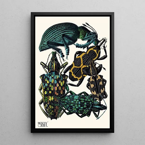 Insectes Pl06 - Émile-Allain Séguy — framed artwork on a wall
