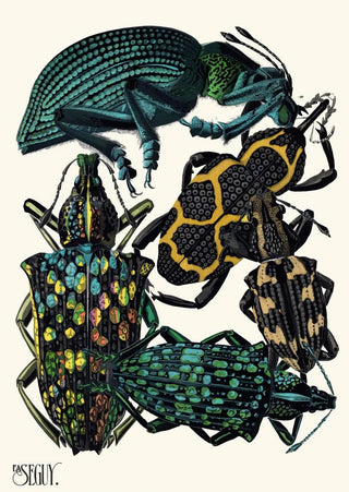 Insectes Pl06 - Émile-Allain Séguy — artwork view