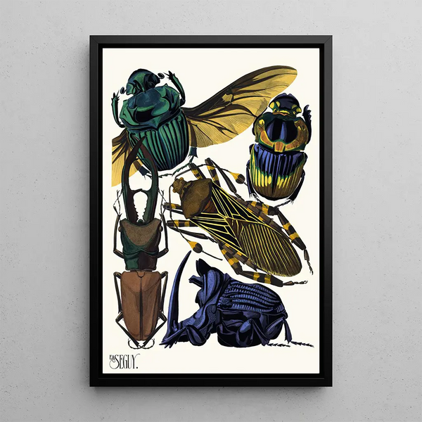 Insectes Pl07 - Émile-Allain Séguy — framed artwork on a wall