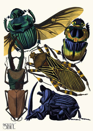 Insectes Pl07 - Émile-Allain Séguy — artwork view