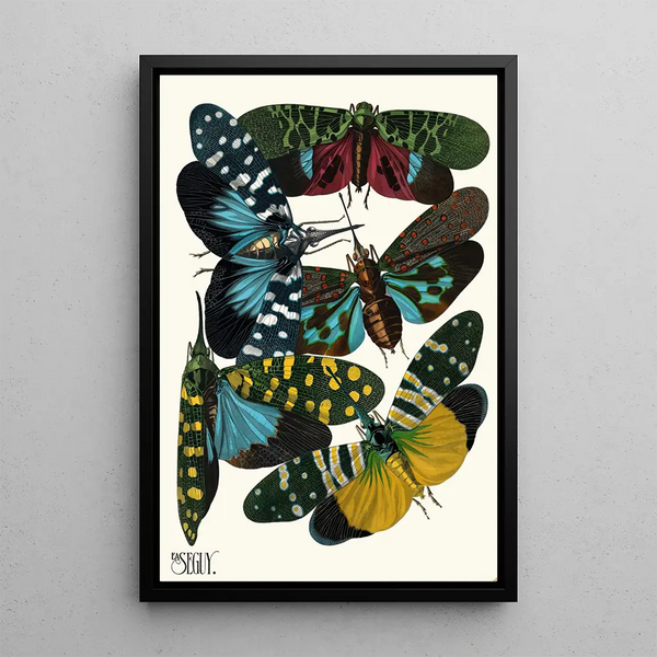 Insectes Pl08 - Émile-Allain Séguy — framed artwork on a wall